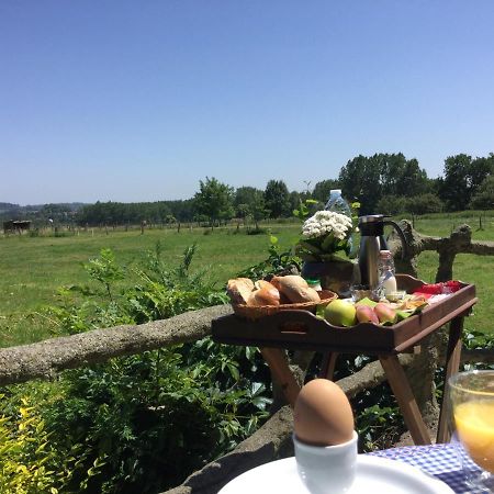 B&B Belvedere Brakel Bagian luar foto